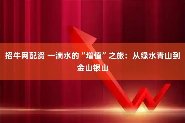 招牛网配资 一滴水的“增值”之旅：从绿水青山到金山银山