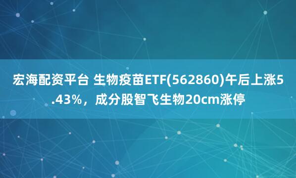 宏海配资平台 生物疫苗ETF(562860)午后上涨5.43%，成分股智飞生物20cm涨停