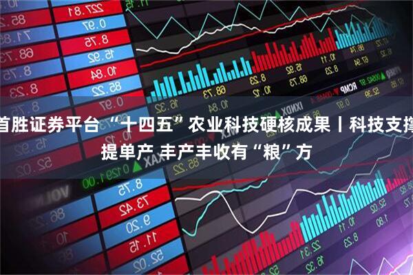 首胜证券平台 “十四五”农业科技硬核成果丨科技支撑提单产 丰产丰收有“粮”方