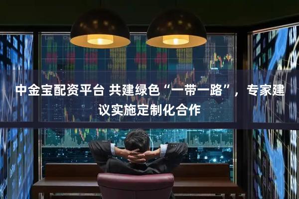 中金宝配资平台 共建绿色“一带一路”，专家建议实施定制化合作