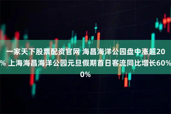 一家天下股票配资官网 海昌海洋公园盘中涨超20% 上海海昌海洋公园元旦假期首日客流同比增长60%
