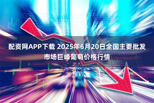 配资网APP下载 2025年6月20日全国主要批发市场巨峰葡萄价格行情