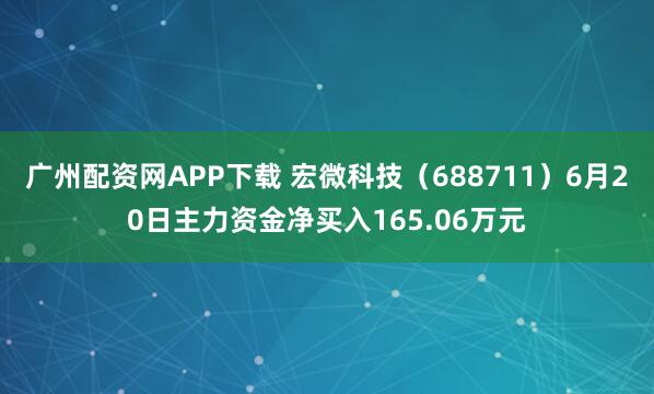 广州配资网APP下载 宏微科技(688711)6月20日主力资金净买入165.06万元